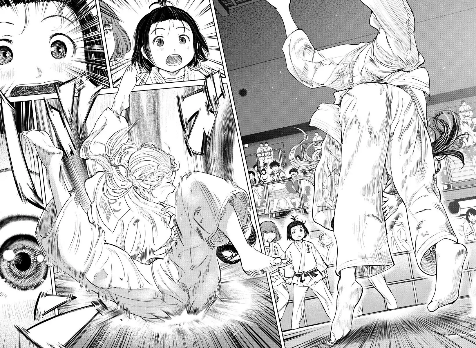 16051575 1641 1200 499646