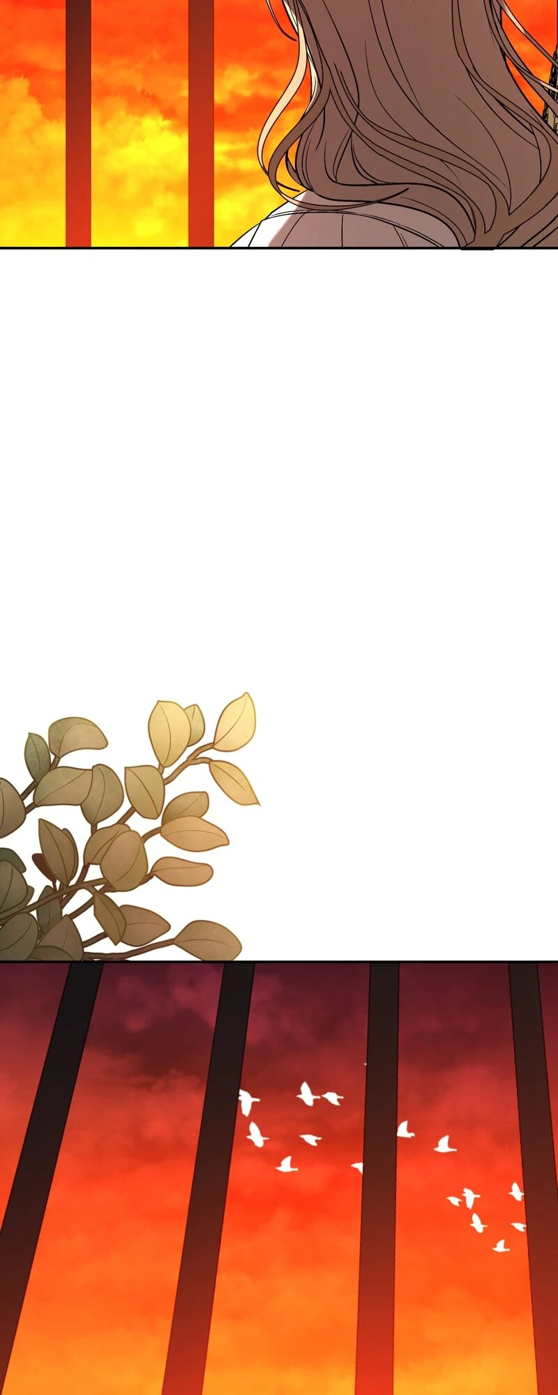 68814533 800 2000 96450